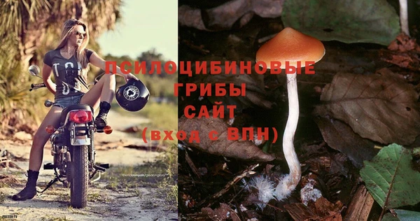 синтетический гашиш Богородск