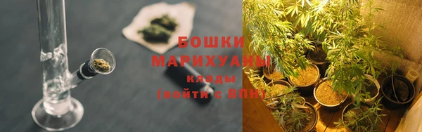 ГАЛЛЮЦИНОГЕННЫЕ ГРИБЫ Богданович