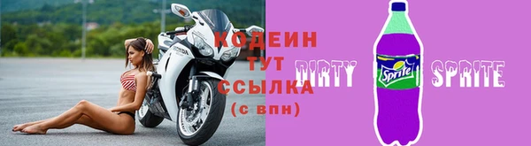 ГАЛЛЮЦИНОГЕННЫЕ ГРИБЫ Богданович