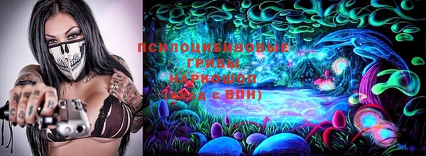 ГАЛЛЮЦИНОГЕННЫЕ ГРИБЫ Богданович