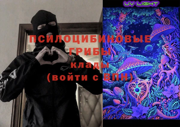 ГАЛЛЮЦИНОГЕННЫЕ ГРИБЫ Богданович