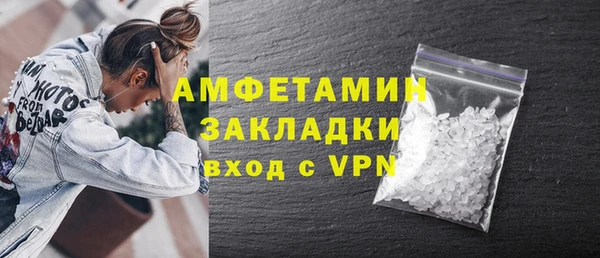 ГАЛЛЮЦИНОГЕННЫЕ ГРИБЫ Богданович