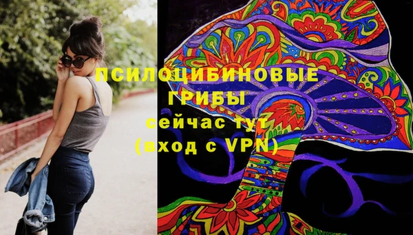 бутират Осинники