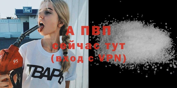 ГАЛЛЮЦИНОГЕННЫЕ ГРИБЫ Богданович