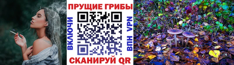 хочу наркоту  Можайск  Галлюциногенные грибы GOLDEN TEACHER 